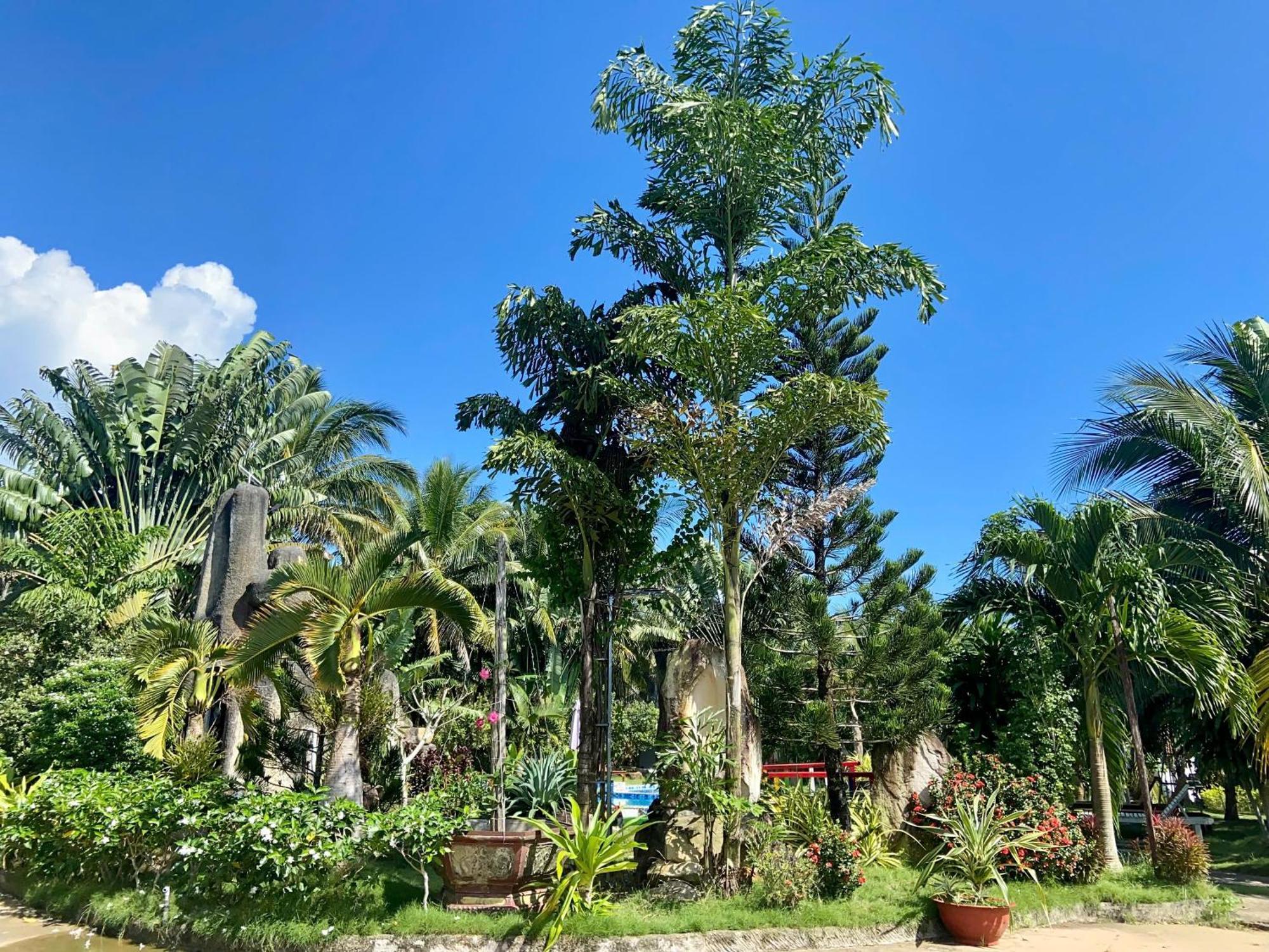 Y Nghia Bungalow Ong Lang Phu Quoc Exteriör bild