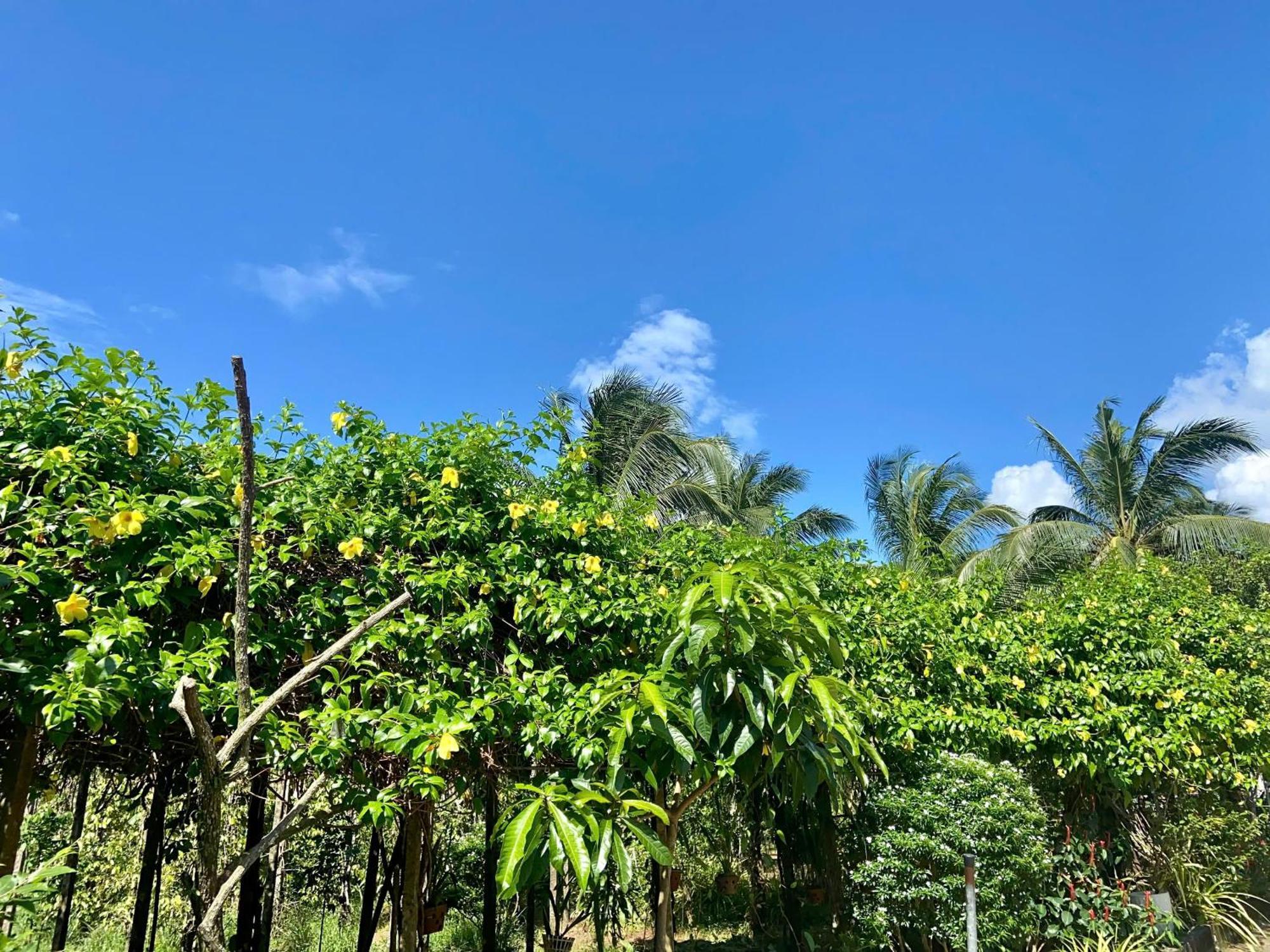 Y Nghia Bungalow Ong Lang Phu Quoc Exteriör bild