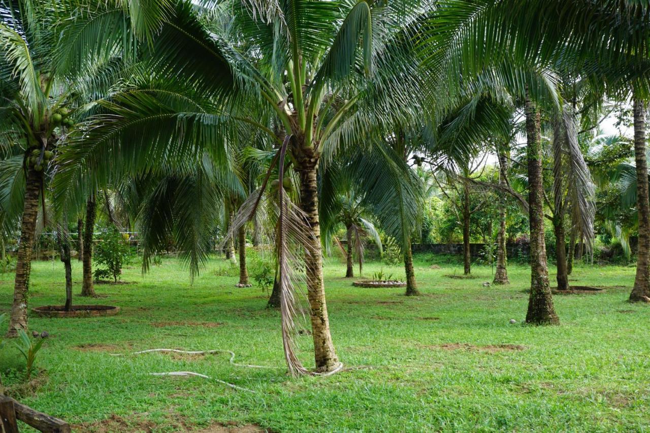Y Nghia Bungalow Ong Lang Phu Quoc Exteriör bild